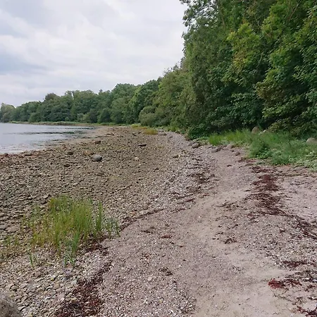 5 Person In Aabenraa-by Traum